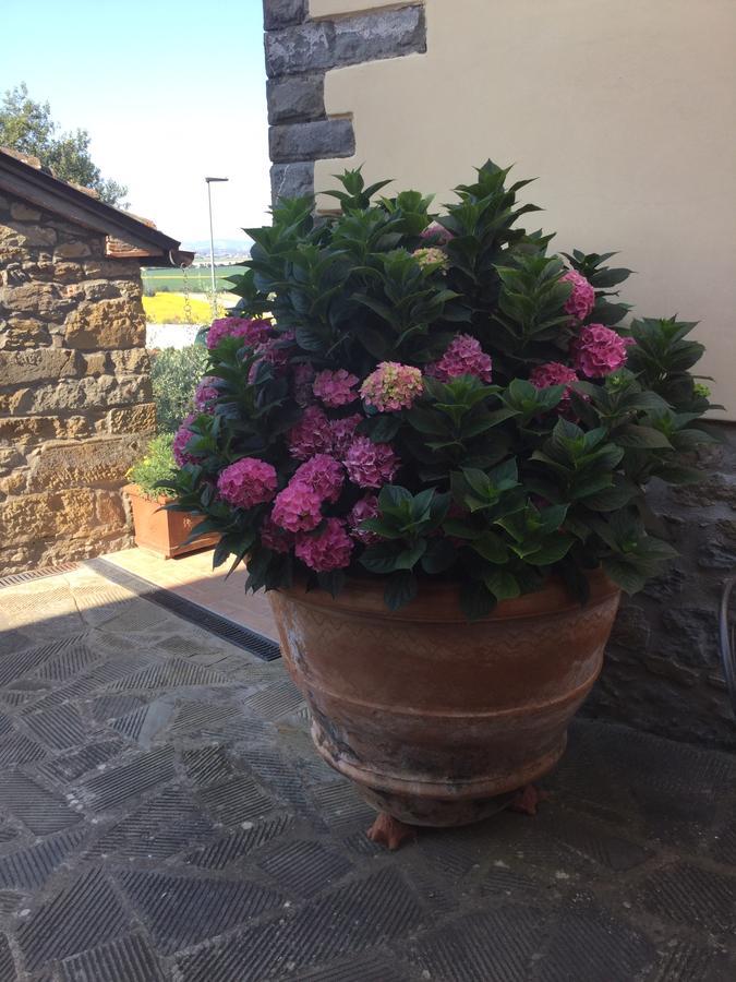 Agriturismo Borgo Tra Gli Olivi Castiglion Fiorentino Eksteriør bilde