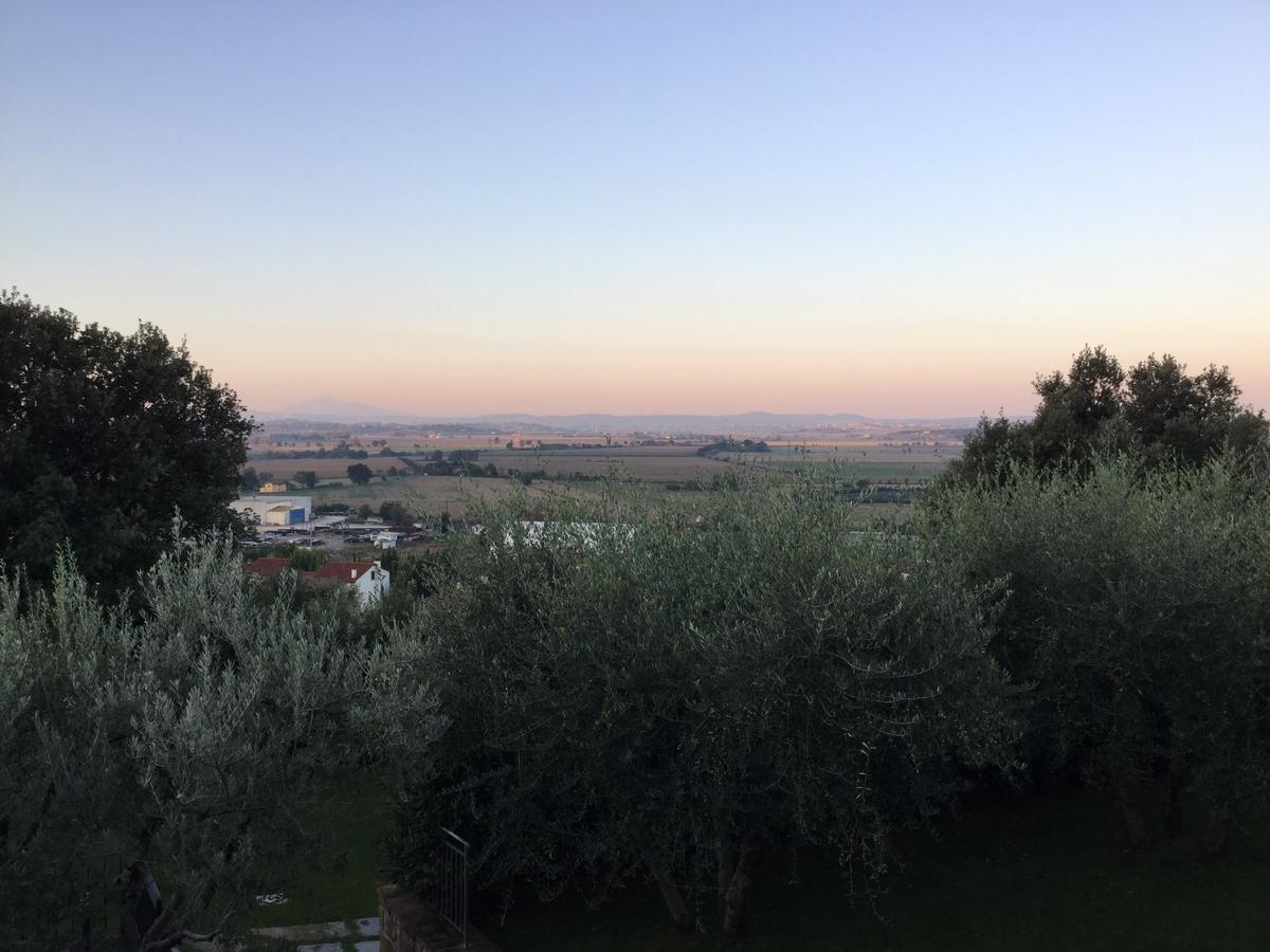 Agriturismo Borgo Tra Gli Olivi Castiglion Fiorentino Eksteriør bilde