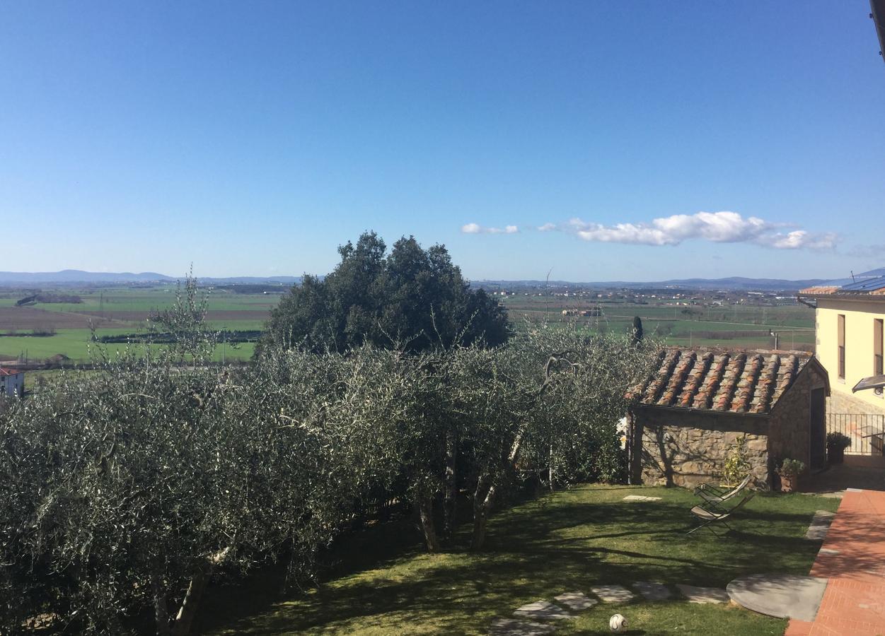 Agriturismo Borgo Tra Gli Olivi Castiglion Fiorentino Eksteriør bilde